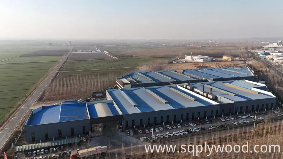 High Quality E0 Melamine Laminated Plywood for Furniture